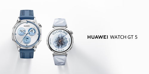 華為Watch GT 5智能手表國行售價公布 雙尺寸不銹鋼機身，1488元起